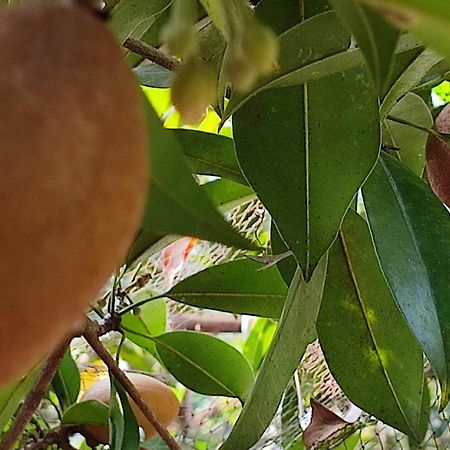 Vivaresidence Homestay Alappuzha Exteriör bild