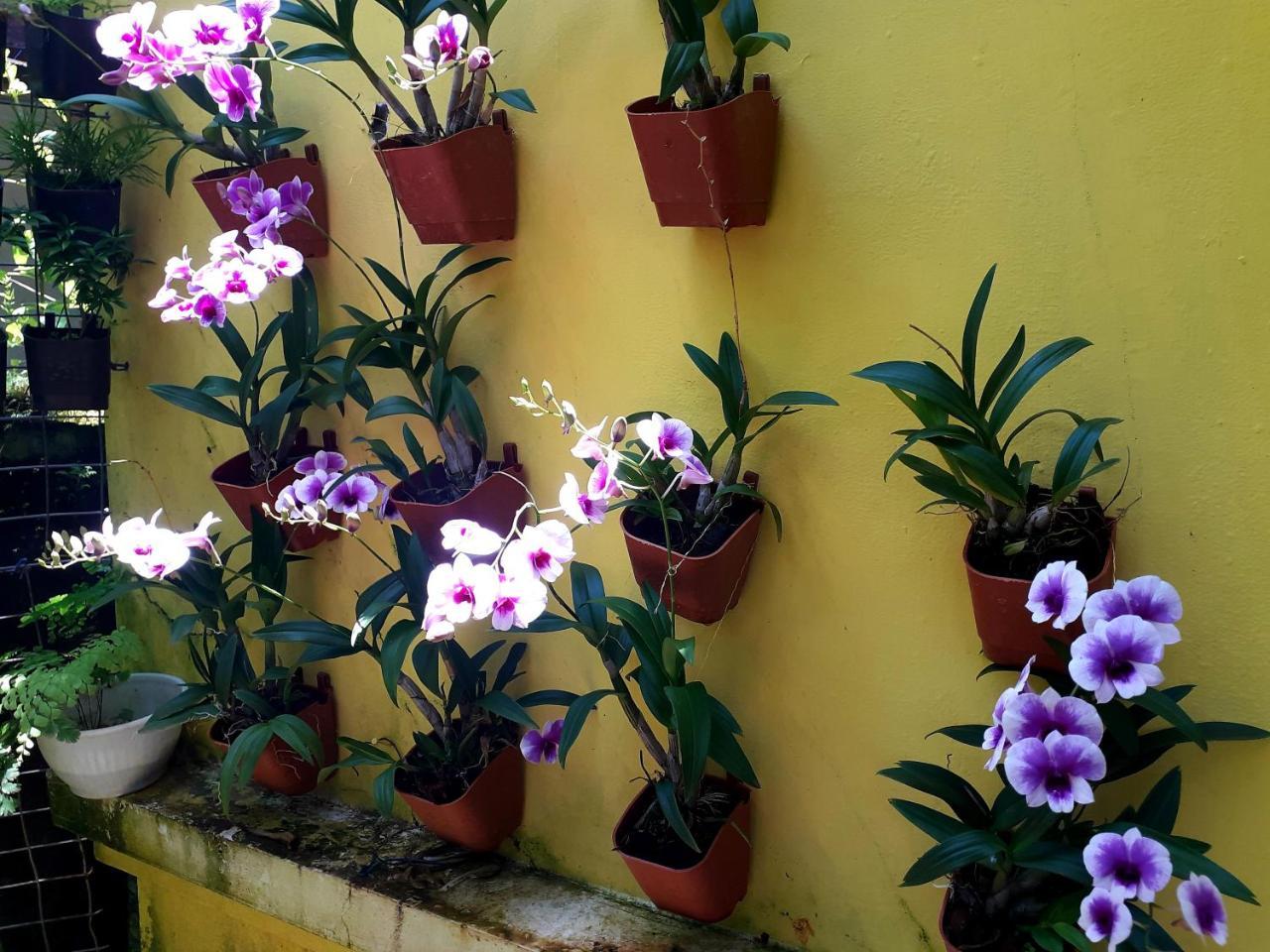 Vivaresidence Homestay Alappuzha Exteriör bild