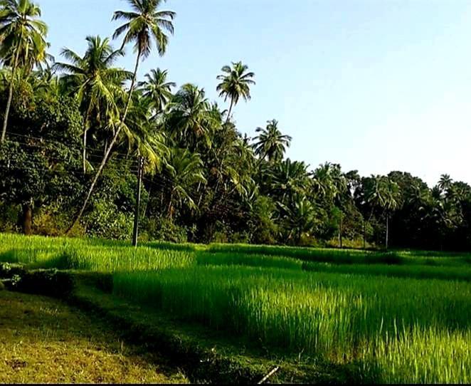 Vivaresidence Homestay Alappuzha Exteriör bild